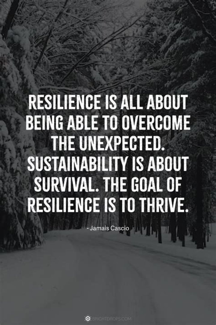 An Exploration Of Resilience And Joy