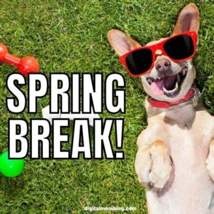 Discoveries From Spring Break Teachers
