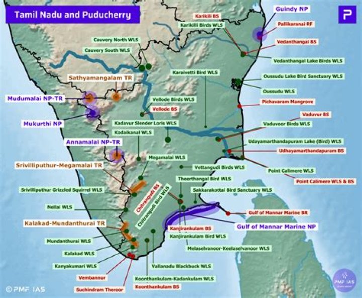 Uncovering A Family's Impact On Tamil Nadu