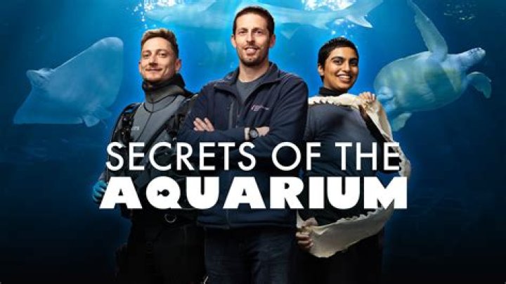 Unveil The Secrets: Unveiling Aquarium Admission Costs