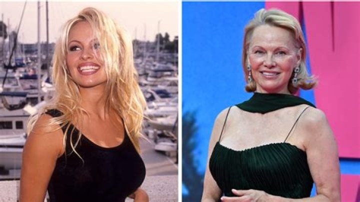 Unveiling The Enigmatic Pamela Bardot: Discoveries And Insights