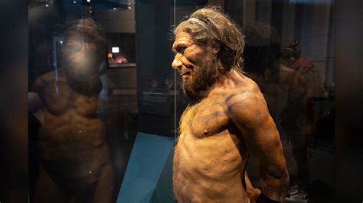 Unveiling The World Of Gil Birmingham: Discoveries And Insights